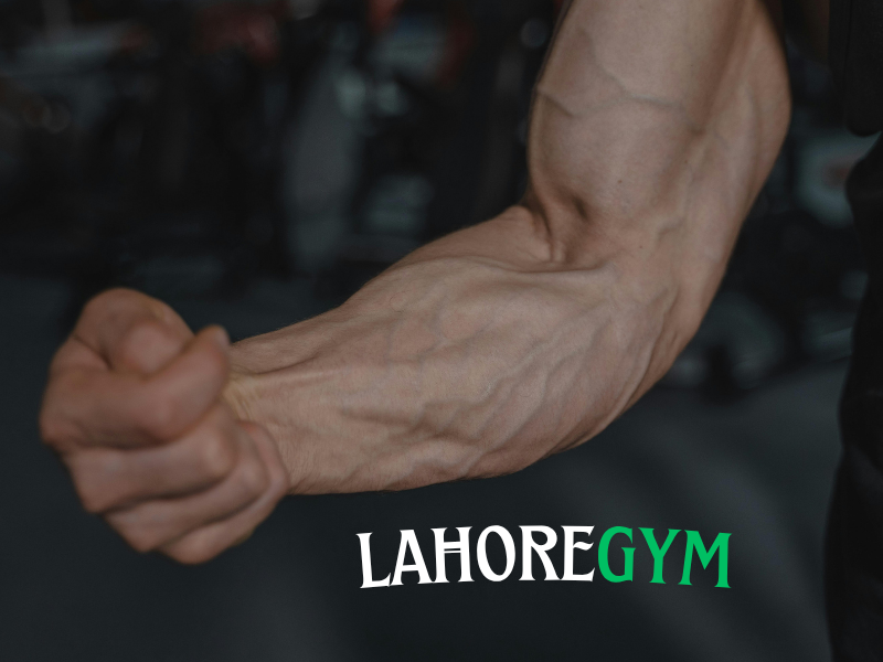 natural-protein-meal-for-muscle-gain.jpg