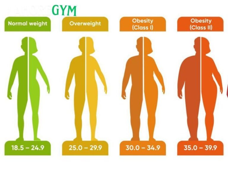 A Comprehensive Guide to Calculating Body Mass Index: Understand Your Body and Start the Change Today