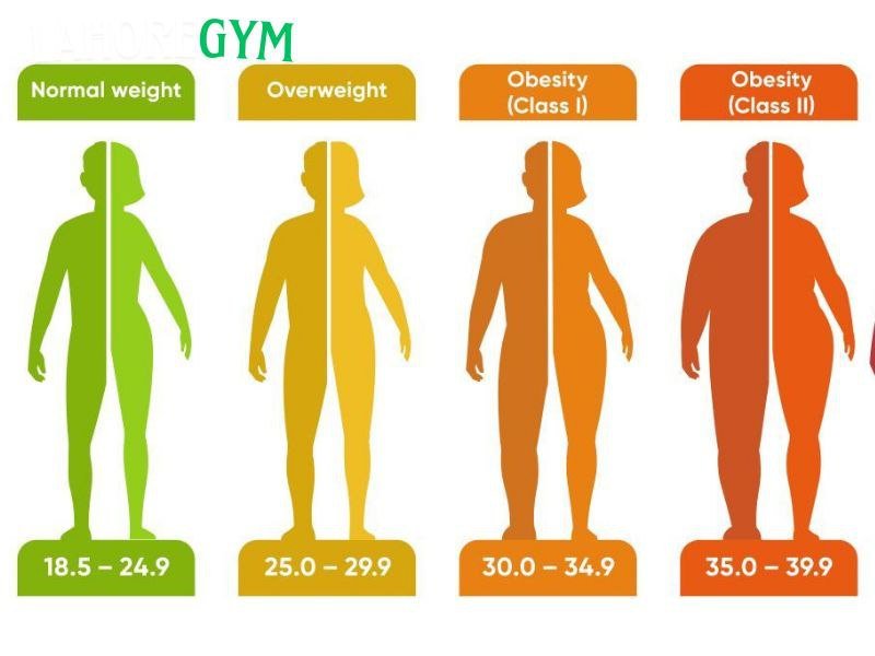 A Comprehensive Guide to Calculating Body Mass Index: Understand Your Body and Start the Change Today