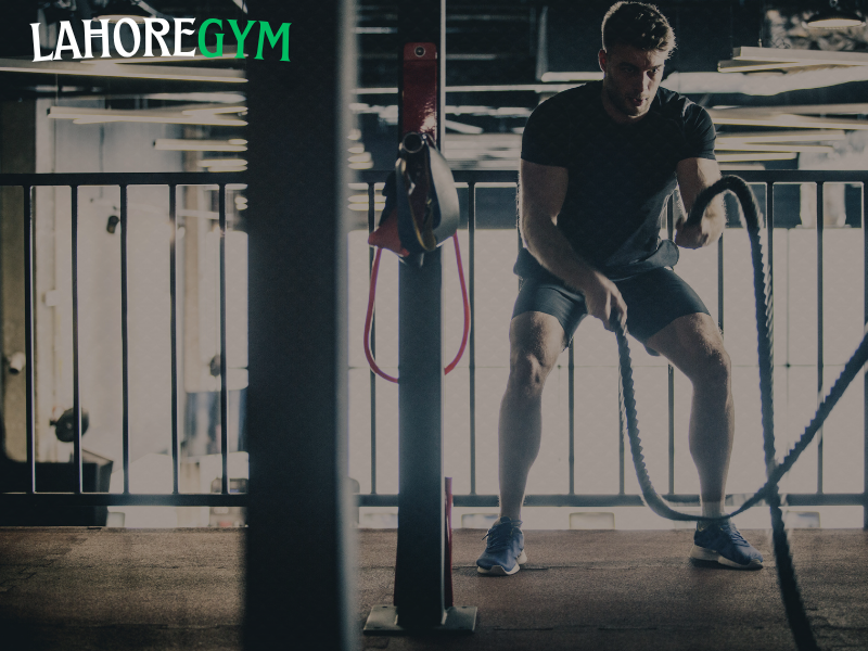 Comparison between full-body workouts and split training for muscle growth and fat loss